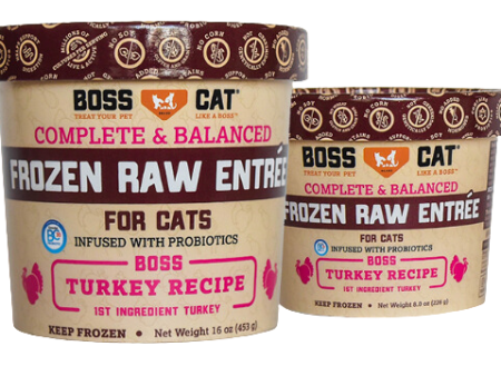 Boss Cat Frozen Complete Raw Turkey Entree 16oz Tub on Sale