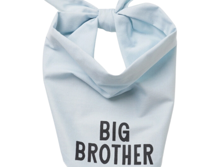 The Paws Big Brother Dog Bandana For Discount