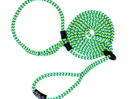 Harness Lead - Peacock (Blue Lime) - Online Hot Sale