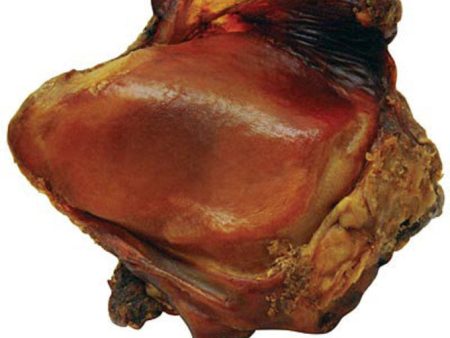 Western s Individual SMOKED Beef Knee Cap on Sale