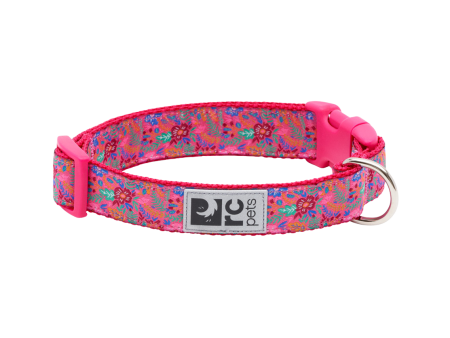 RC Pets Patterned Dog Clip Collar - Frida Supply