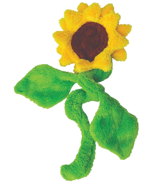 Cycle Dog Duraplush Springy Sunflower Dog Toy Online