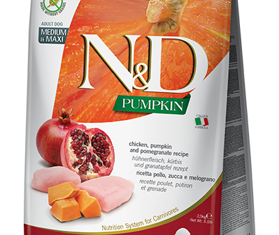 Farmina Pumpkin Dry Dog Food N&D Chicken & Pomegranate Medium Maxi Hot on Sale