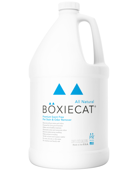 BoxieCat Premium Scent-Free Pet Stain & Odor Remover Cheap