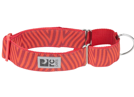 RC Pets Patterned All Webbing Training Dog Collar - Goji Chevron on Sale