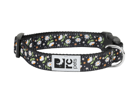 RC Pets Patterned Dog Clip Collar - Daisies For Discount