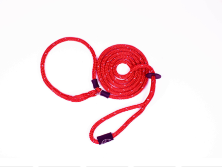 Harness Lead - Rad (Red Reflective) - For Cheap