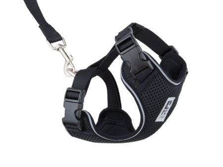 RC Pets Adventure Kitty Harness - Black For Cheap