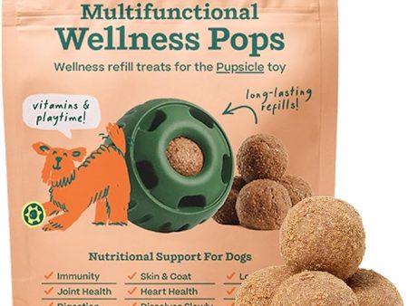 Woof Refill Treat for Pupsicle Toy - XL (75 lbs & up) - All-In-1 Health Support PB & Beef Recipe - 5-pack   12oz Bag Online Sale