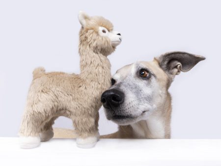 Fluff & Tuff Inca Alpaca - Medium Squeaky Stuffed Dog Toy Supply