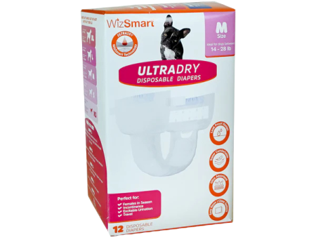 Wizsmart UltraDry Disposable Diapers 12pk - MED Sale