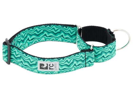 RC Pets Patterned All Webbing Training Dog Collar - Gemstone Online Hot Sale