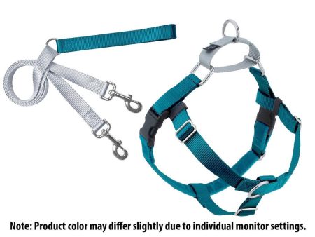 2 Hounds Design Freedom No-Pull Harness Deluxe Training Package - 5 8  - Teal Silver Supply