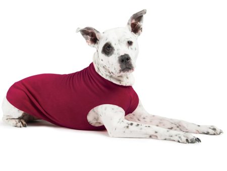 Gold Paw Stretch Fleece - Garnet For Cheap