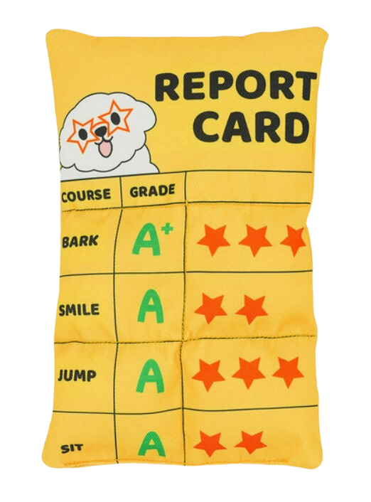 Hugsmart Pooch Academy - Report Card Plush Dog Toy Fashion