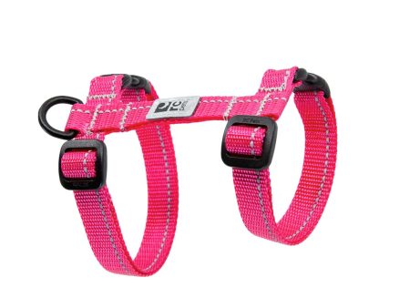 RC Pets Primary Kitty Harness - Raspberry Online now