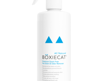 BoxieCat Premium Scent-Free Pet Stain & Odor Remover Cheap