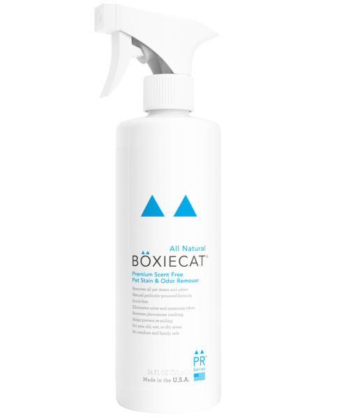 BoxieCat Premium Scent-Free Pet Stain & Odor Remover Cheap