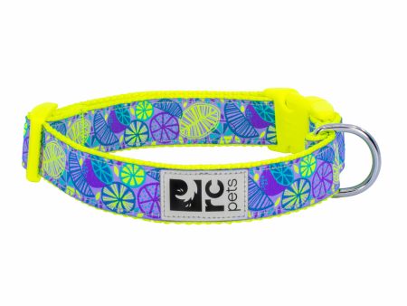 RC Pets Patterned Dog Clip Collar - Citrus For Discount