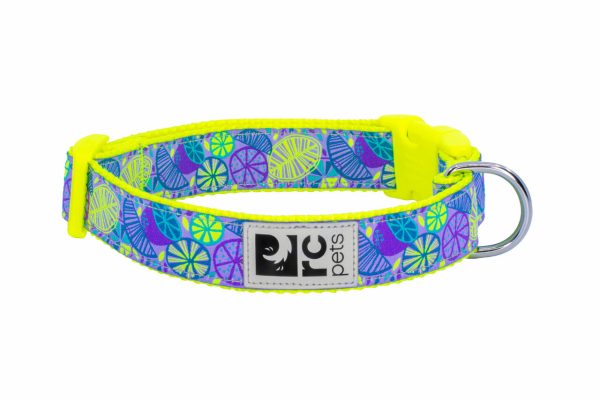 RC Pets Patterned Dog Clip Collar - Citrus For Discount