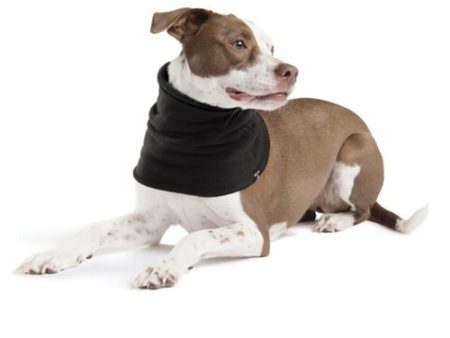 Gold Paw Snood Black Black - on Sale