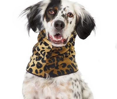 Gold Paw Snood Leopard Leopard - Discount