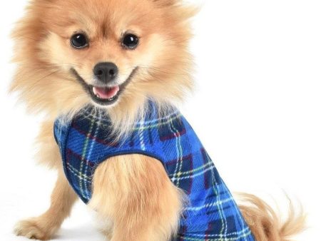 Gold Paw Stretch Fleece - Blue Plaid Online Sale