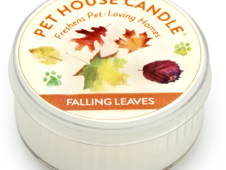 One Fur All Mini Candle Falling Leaves Online