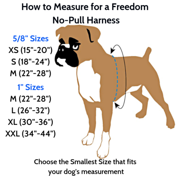 2 Hounds Design Freedom No-Pull Harness Deluxe Training Package - 5 8  - Royal Blue Navy Blue Sale