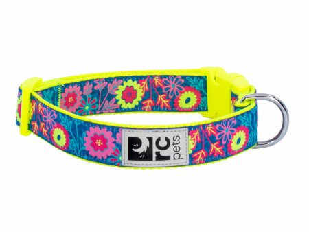 RC Pets Patterned Dog Clip Collar - Flower Power Online now