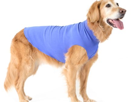 Gold Paw Stretch Fleece - Cornflower Blue Supply