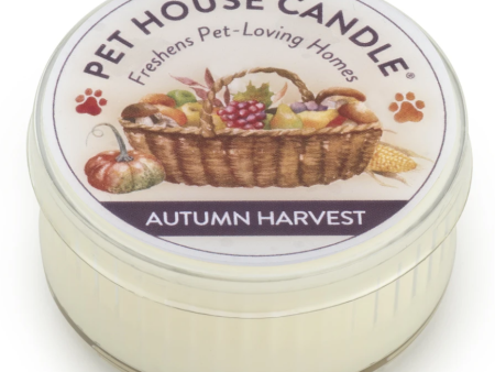 One Fur All Mini Candle Autumn Harvest on Sale