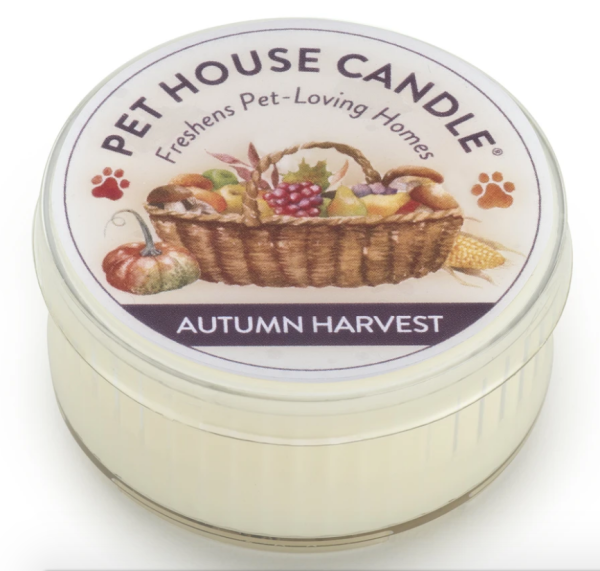 One Fur All Mini Candle Autumn Harvest on Sale