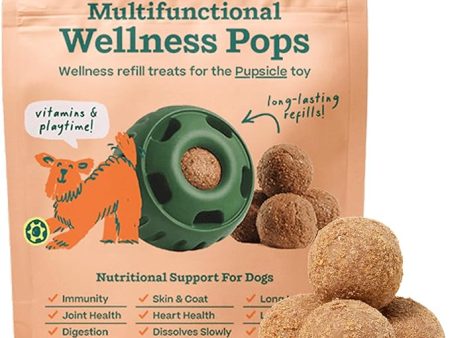 Woof Refill Treat for Pupsicle Toy - Small (10-25 lbs) - All-In-1 Health Support PB & Beef Recipe - 10-pack   6oz Bag For Cheap