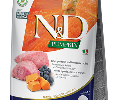 Farmina Pumpkin Dry Dog Food N&D Lamb & Blueberry Medium Maxi Puppy Sale