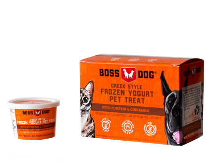 Boss Dog® Greek Style Frozen Yogurt Pet Treat - Pumpkin & Cinnamon 3.5oz Cups 4-Pack Online