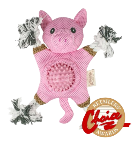 Territory 2-In-1 Dog Toy - Farm Pig 10  Cheap