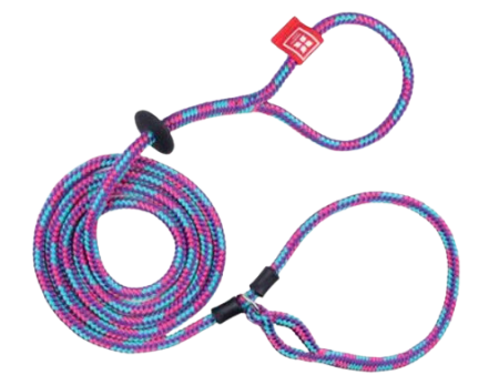 Harness Lead - Reef (Purple Raspberry Turquoise) - Fashion