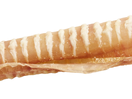 Natural Farm Individual Beef Trachea 6  For Discount