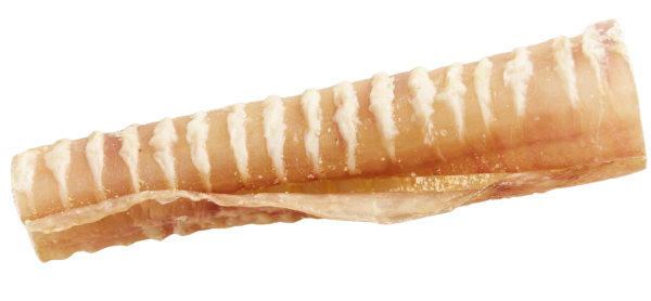 Natural Farm Individual Beef Trachea 6  For Discount