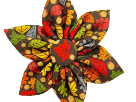 Huxley & Kent Leaves & Nuts Pinwheel Fashion