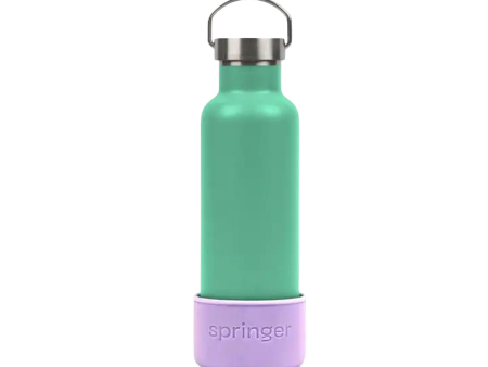 Springer Dog & Me Insulated Water Bottle - Green For Sale