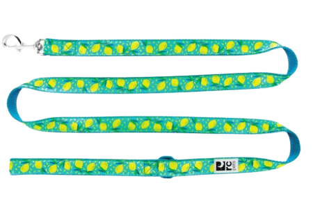 RC Pets Patterned Dog Leash 1 2 x6  - Lemonade For Cheap